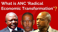 What is ANC 'Radical Economic Transformation' ? | Burning Questions Ep. 13