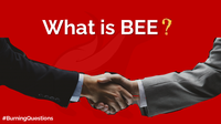 What is BEE? | Burning Questions Ep. 10