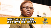 Which is better - grants or jobs? | Freedom FANatics Ep. 58
